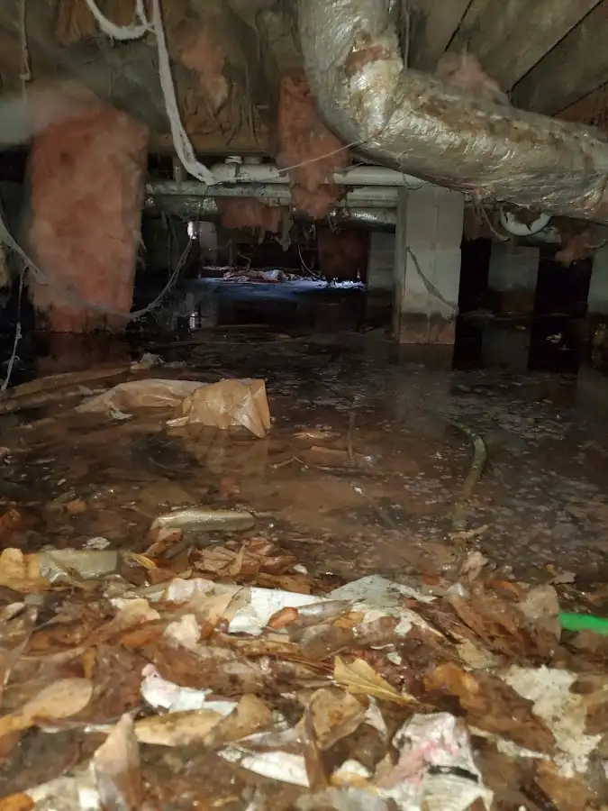 Crawl space flood assessment for Leak Detection & Repair in Tuskegee